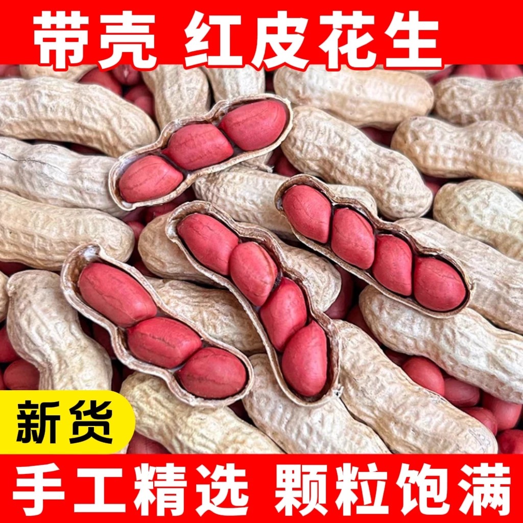 红皮花生带壳新鲜生的晒干2025年新货农家四粒红衣花生米口感香甜