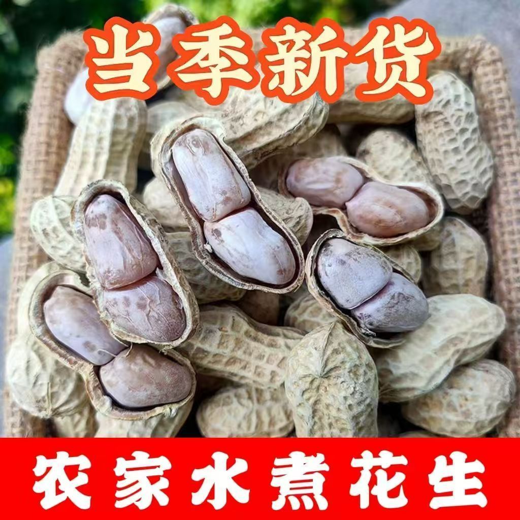 (新上市)26新水煮日晒花生客家特产龙岩花生白晒批发500g