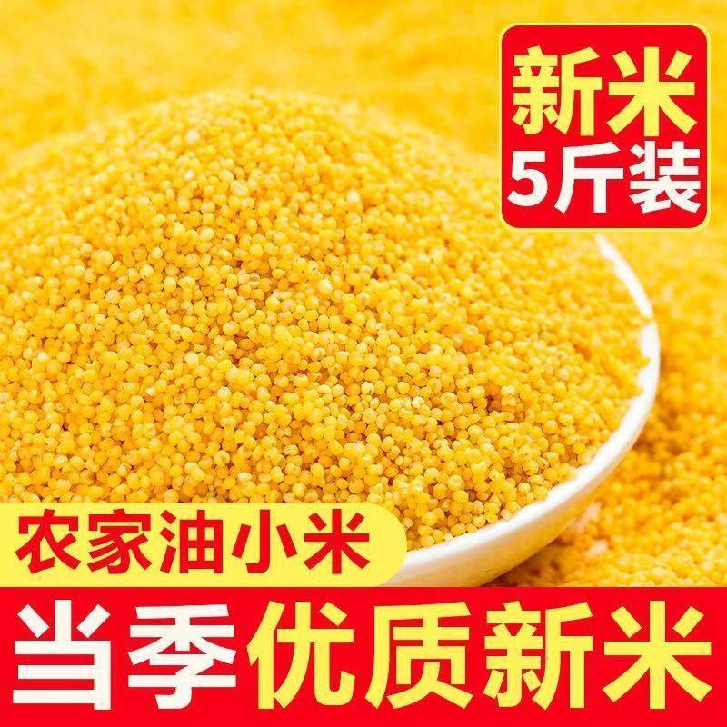 【新米5斤装】 东北正宗黄小米产自朝阳颗粒饱满五谷杂粮健康粗粮