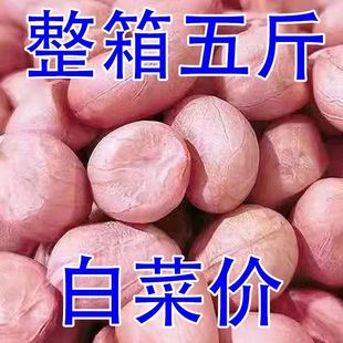 【今日特价】新货生花生米大颗粒新鲜粉皮现剥大粒榨油花生米1g