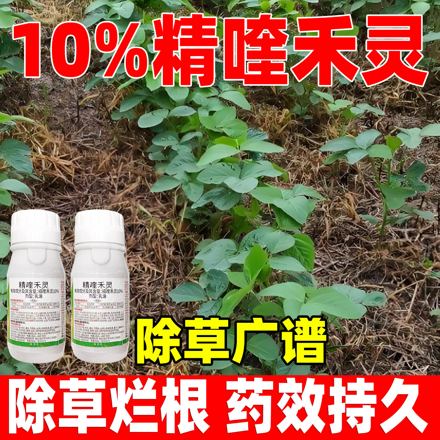 格力斯盖禾灵10%精喹禾灵除草剂