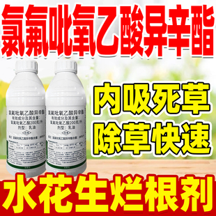 锄施20%氯氟吡氧乙酸异辛酯除草剂水花生烂根剂克星空心莲子草