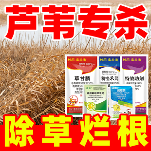 芦苇克星专用除草烂根剂芦苇除草药正品农药草甘磷高效氟吡甲禾灵