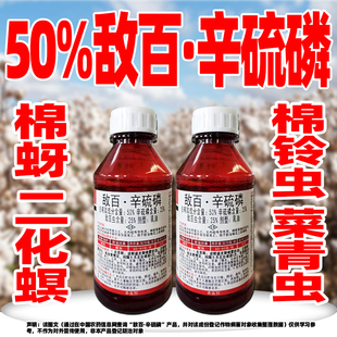 诛灭50%敌百辛硫磷辛流膦棉花蚜虫专用杀虫剂正品农药蚜虫克星