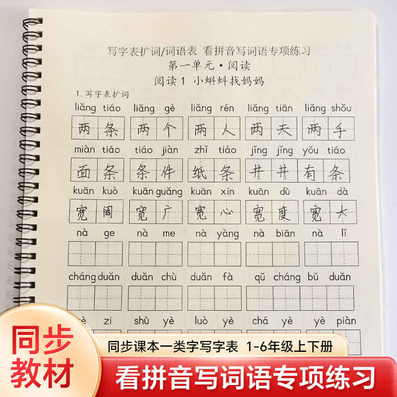 看拼音写词语专项练习本同步教材