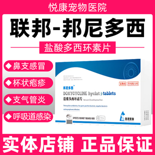 联邦邦尼多西盐酸多西环素片宠物猫咪狗狗感冒咳嗽支气管炎窝咳