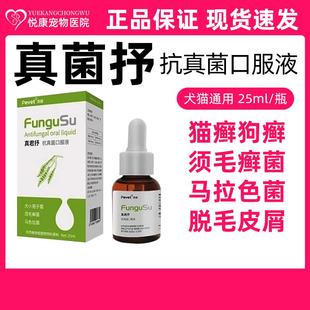 派维真君抒口服液宠物犬猫狗癣猫癣真菌感染皮屑瘙痒马拉色菌皮肤