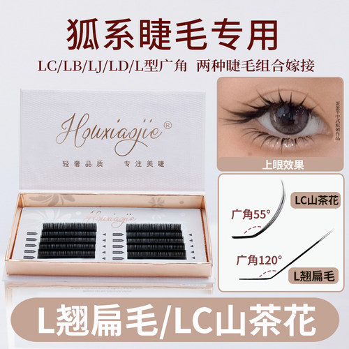 侯小姐LC型狐系睫毛嫁接不散根
