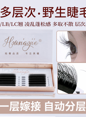 5D野生漫画款山茶花睫毛嫁接LC型LB翘多层次蓬松凌乱LJ美睫店专用