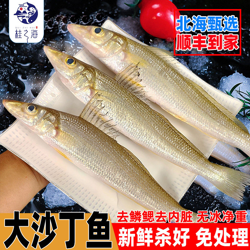 北海沙丁鱼新鲜冷冻海鱼去鳞去内脏沙钻鱼沙锥鱼超大号冰鲜沙尖鱼