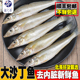 北海沙丁鱼新鲜冷冻深海鱼去鳞鳃去内脏料理海鲜特大沙尖鱼沙钻鱼