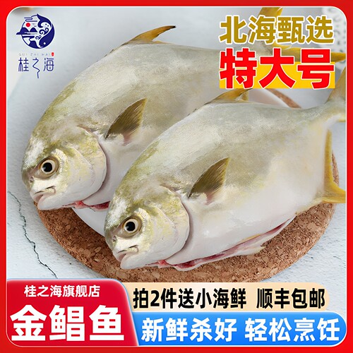 北海金鲳鱼新鲜杀好深海鱼鲜活去鳃去内脏冰鲜冷冻特大开腹金昌鱼