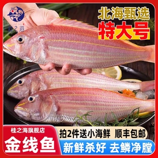 北海金线鱼红杉鱼深海鱼去鳞鳃去内脏免处理新鲜冷冻红三鱼金丝鱼