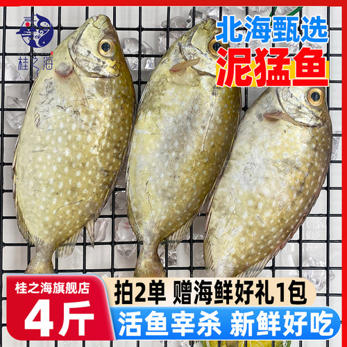 北海泥猛鱼新鲜冷冻深海鱼去鳃去内脏冰鲜大号娘艾柠檬鱼苦提海鲜