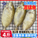 北海泥猛鱼新鲜冷冻深海鱼去鳃去内脏冰鲜娘子柠檬鱼特大活冻海鲜