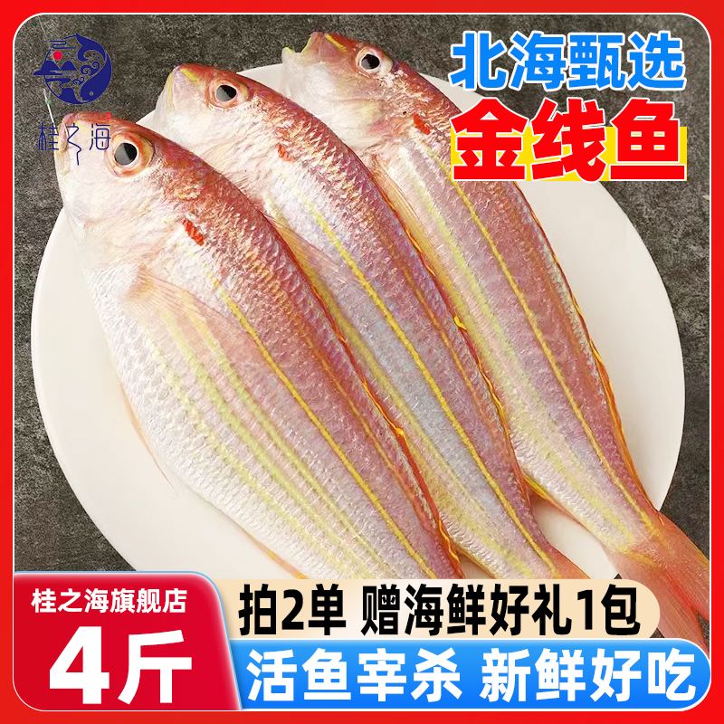 北海金线鱼红杉鱼深海鱼去鳞鳃去内脏免处理新鲜冷冻红三鱼金丝鱼