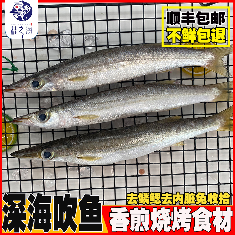 海狼鱼新鲜冷冻小杂鱼去鳞鳃去内脏包装深海鱼金梭鱼冰鲜北海吹鱼 水产肉类/新鲜蔬果/熟食 马鲛鱼 原图主图