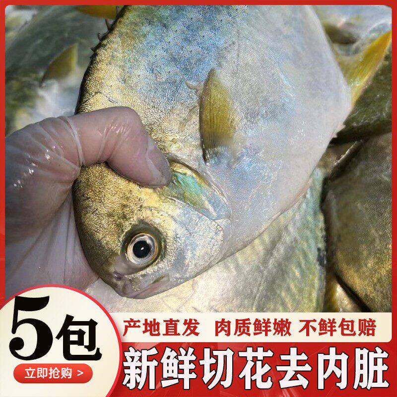 去内脏金鲳鱼海鱼鲜活平鱼冷冻昌鱼银鲳红烧香煎顺丰水产餐饮商用
