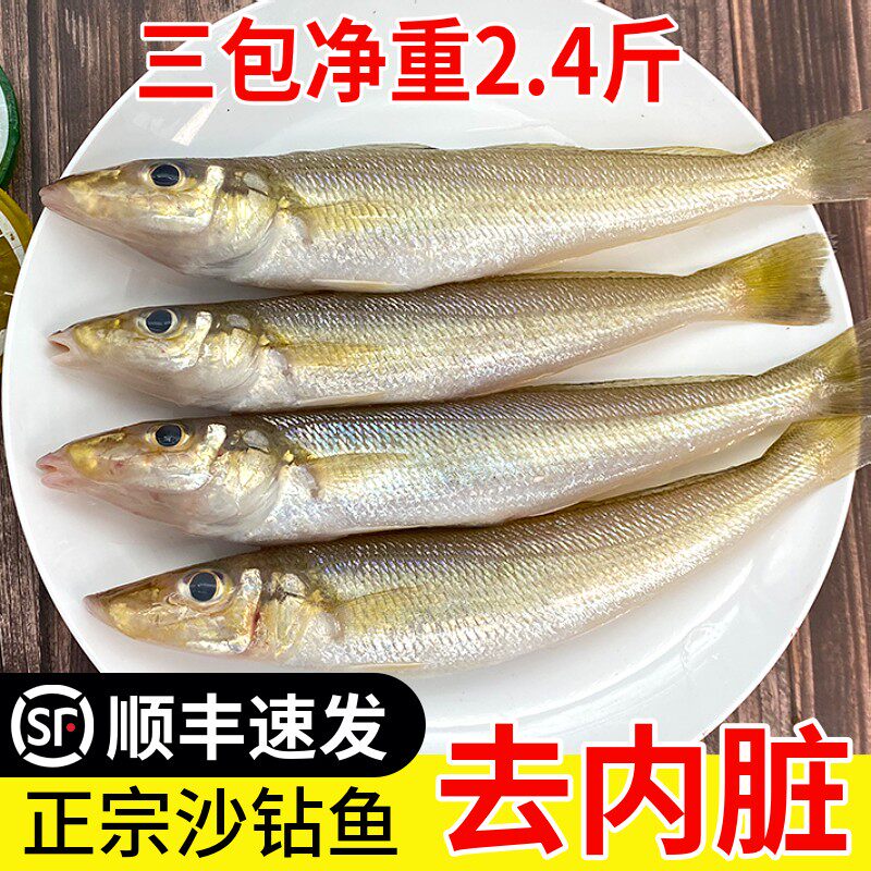 沙钻鱼北海海鲜去内脏非养殖沙丁鱼冷冻海鲜烧烤食材家庭聚餐露营