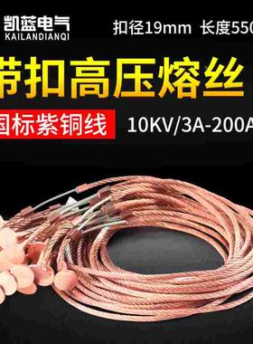 10KV带扣高压熔丝15 25 30A保险丝40 60 75 80 100A RW户外跌落式