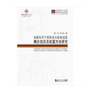 正版图书 地震作用下桥梁深水基础流固耦合效应及抗震方法研究/同济博士论丛  [Earthquake Induced Fluid-struc 魏凯 袁万城 同济