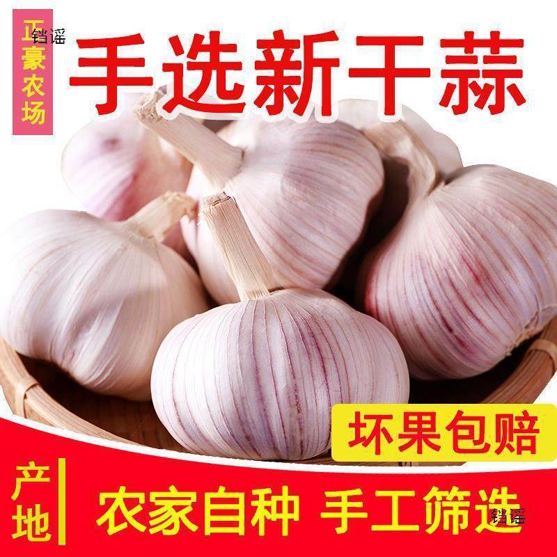 农家新干大蒜头河南干蒜头白紫皮大算头山东干蒜大祘5斤大蒜种子
