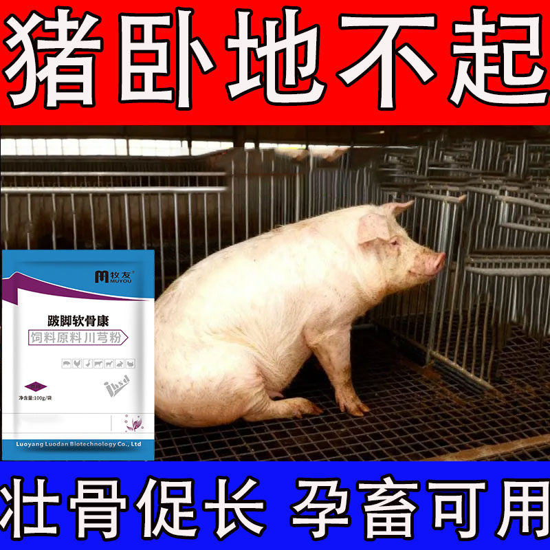母猪产后软弱无力补钙饲料添加剂