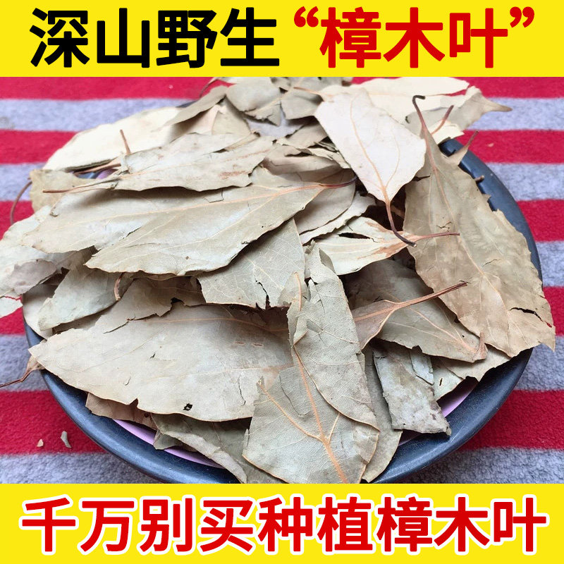 深山中药材樟木叶500g 香樟叶 樟树叶 大血藤 乌樟 万樟 方樟 包