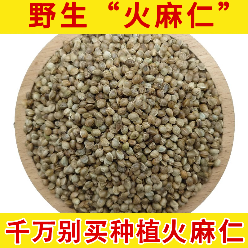 火麻仁野生中药材大颗 火麻子 火麻籽 巴马野生麻子食用去壳