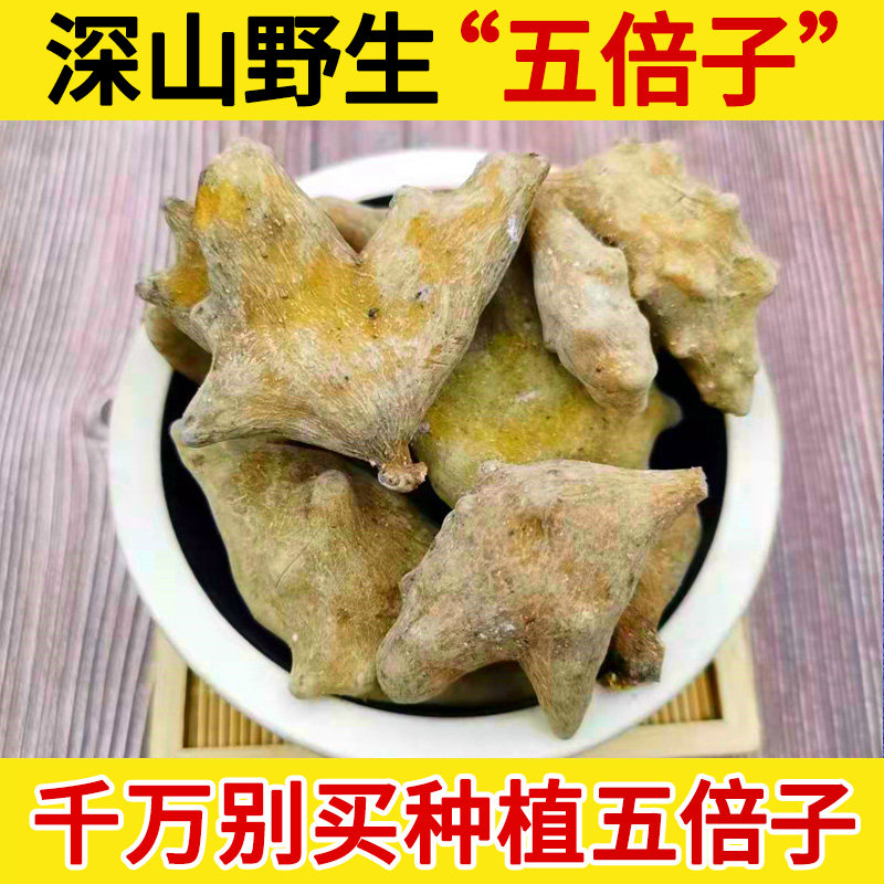 深山野生中药材五倍子500g 百虫仓 五倍子另有蛇床子细辛
