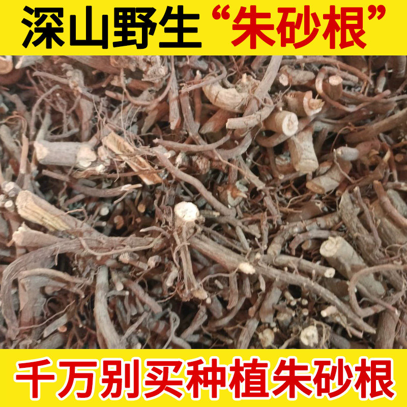朱砂根中药材500g小罗伞中药材小凉伞 铁郎伞 八爪金龙晒干切段