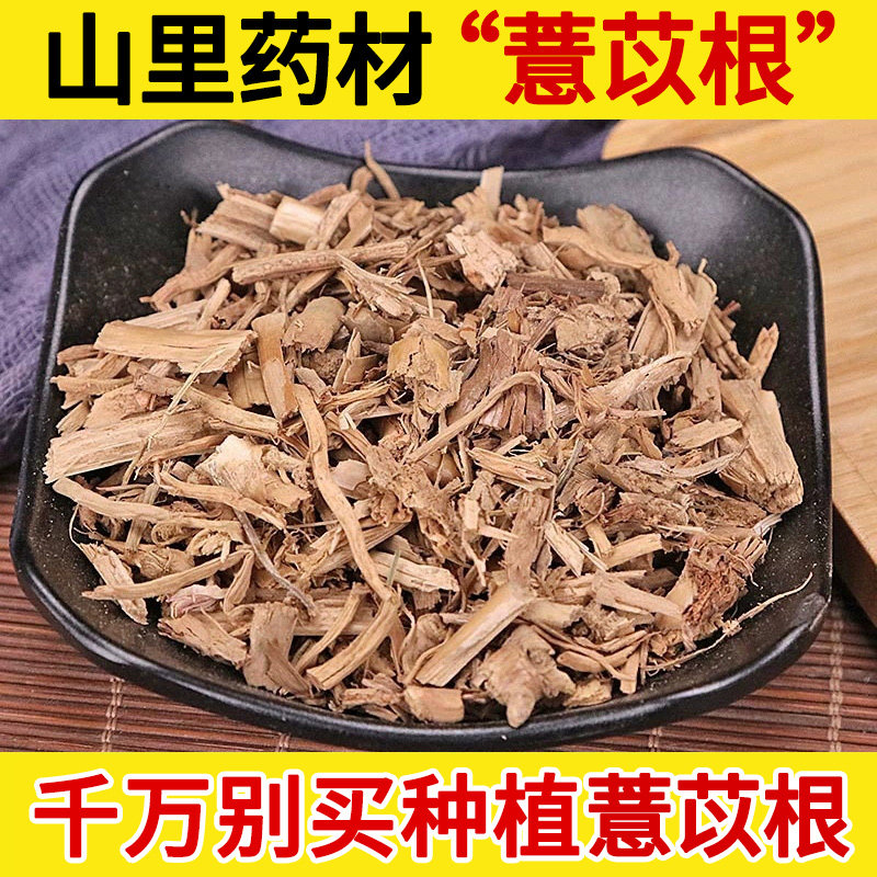 深山中药材尿珠子根 薏苡根 草珠子根 佛珠子根 新鲜薏米纯根