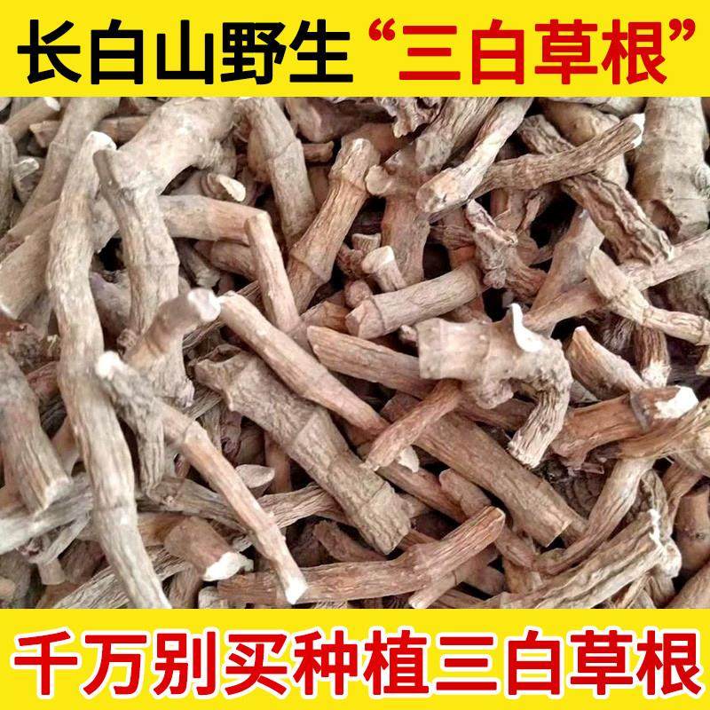 长白山野生三白草根中药材500g野生无硫过塘藕中药材百节藕三百根