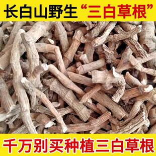 长白山野生三白草根中药材500g野生无硫过塘藕中药材百节藕三百根