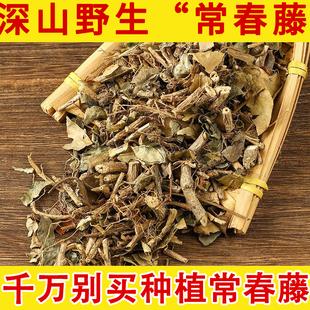 常春藤精选野生长春藤 士鼓藤上树蜈蚣 追风藤三角枫中药材草中药