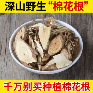 深山野生中药材野棉花根500g 满天星 清水胆 铁蒿 打破碗花花 包