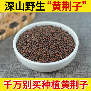 深山野生中药材黄荆子500g 牡荆籽 布荆子 黄金子 小荆实 荆条子