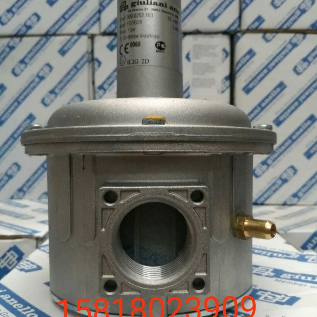 意大利朱利安尼giuliani/燃气调