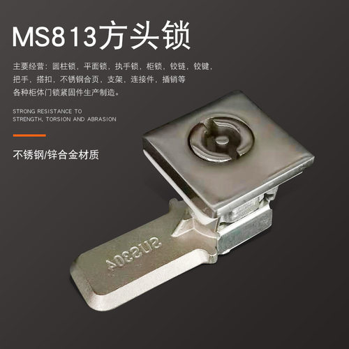 304不锈钢MS813 SUS柜锁 方头威图箱门锁 船用不锈钢AE箱柜门锁