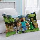 卡通我 世界儿童双面枕头套学生宿舍亲肤可水洗床上用品抱枕套