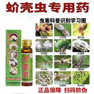 北京新款配方型质九州护花神病虫清植物家庭通用花卉绿植土液体