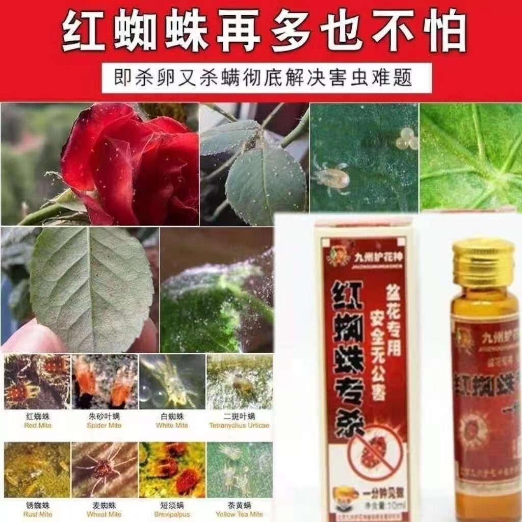 九州护花神百虫灵玫瑰月季红蜘蛛无味花药花卉杀虫剂多肉介壳虫