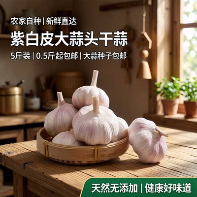 农家大蒜头5斤干蒜紫白皮大蒜200g起大蒜天然无添加种子包邮