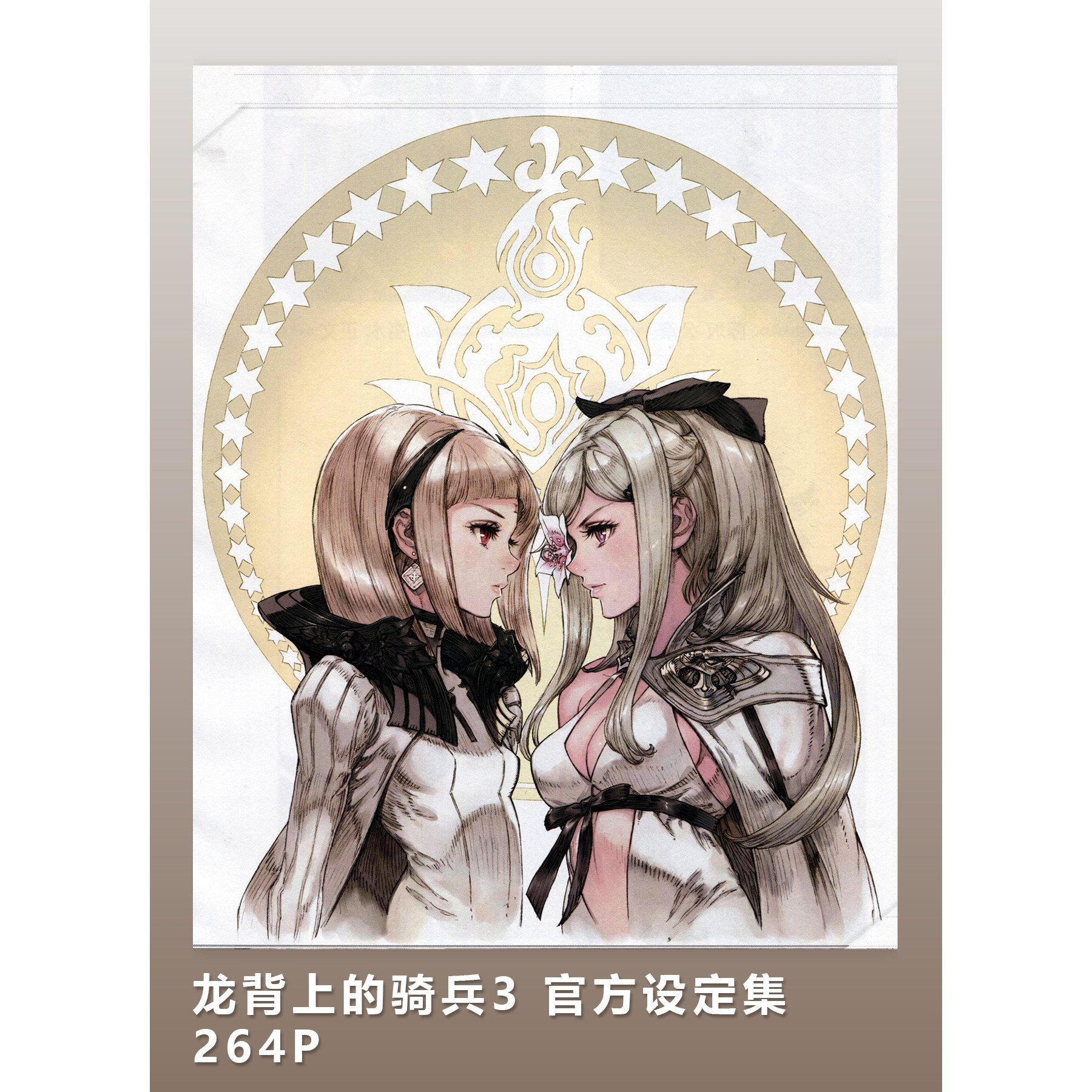 龙背上的骑兵3 官方设定集 264p