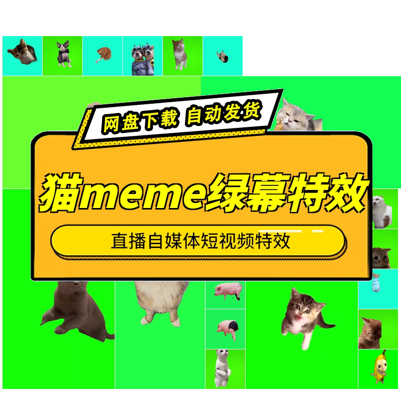 猫meme搞笑跳舞特效绿幕抠像素材