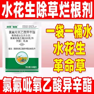 氯氟吡氧乙酸异辛酯水花生烂根剂强力除草专打革命草空心莲子农药