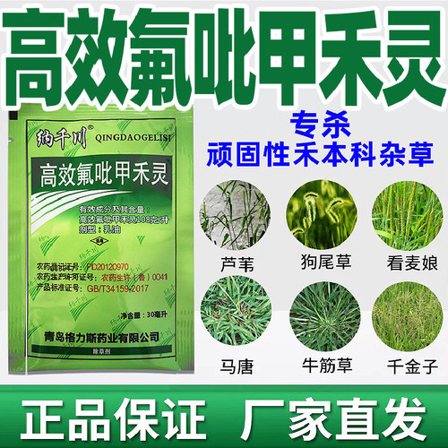 高效氟吡甲禾灵尖叶杂草除草剂