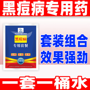 晴雨表黑痘病专用杀菌剂黑痘病专用药黑痘病农药黑痘病专用套餐