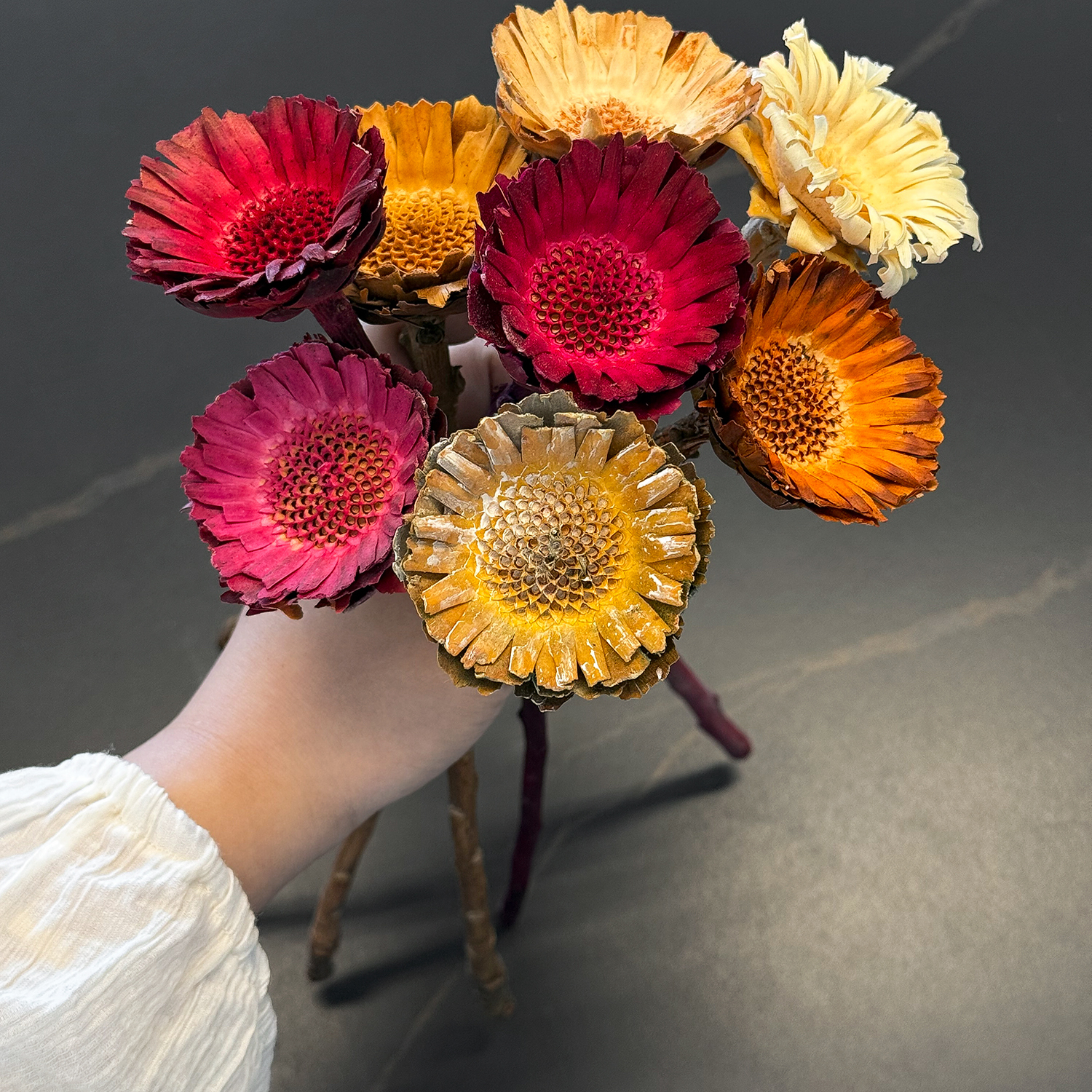 太阳菊天然进口干花不凋谢