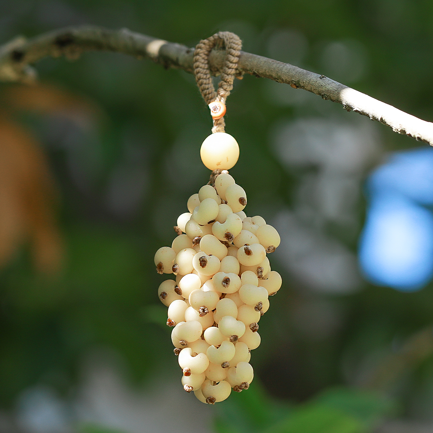 金佛草葡萄串天然果壳包挂件